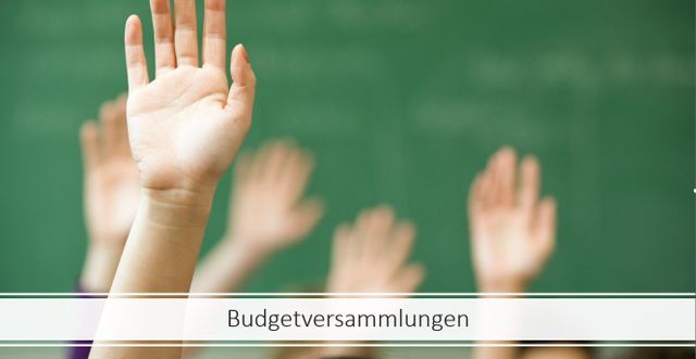 Budgetversammlungen