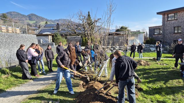 Climathon - Umsetzung eines Siegerprojekts